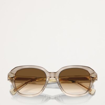 Brunello Cucinelli Acetate BC4004S Sunglasses - Image 5