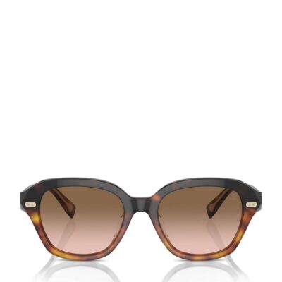 Brunello Cucinelli Titanium BC4004S Sunglasses - Image 1