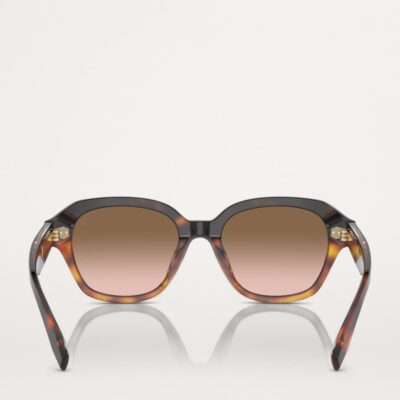 Brunello Cucinelli Titanium BC4004S Sunglasses - Image 4