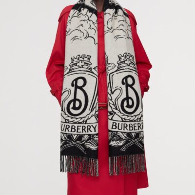 Burberry Cashmere Reversible Stormy Knight Scarf - Image 4
