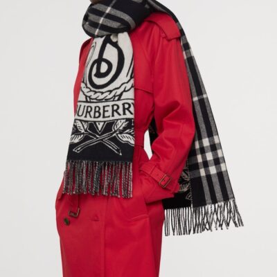 Burberry Cashmere Reversible Stormy Knight Scarf - Image 5