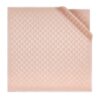Bvlgari Wool-Silk Fringe Maxi Calla Scarf - Image 1