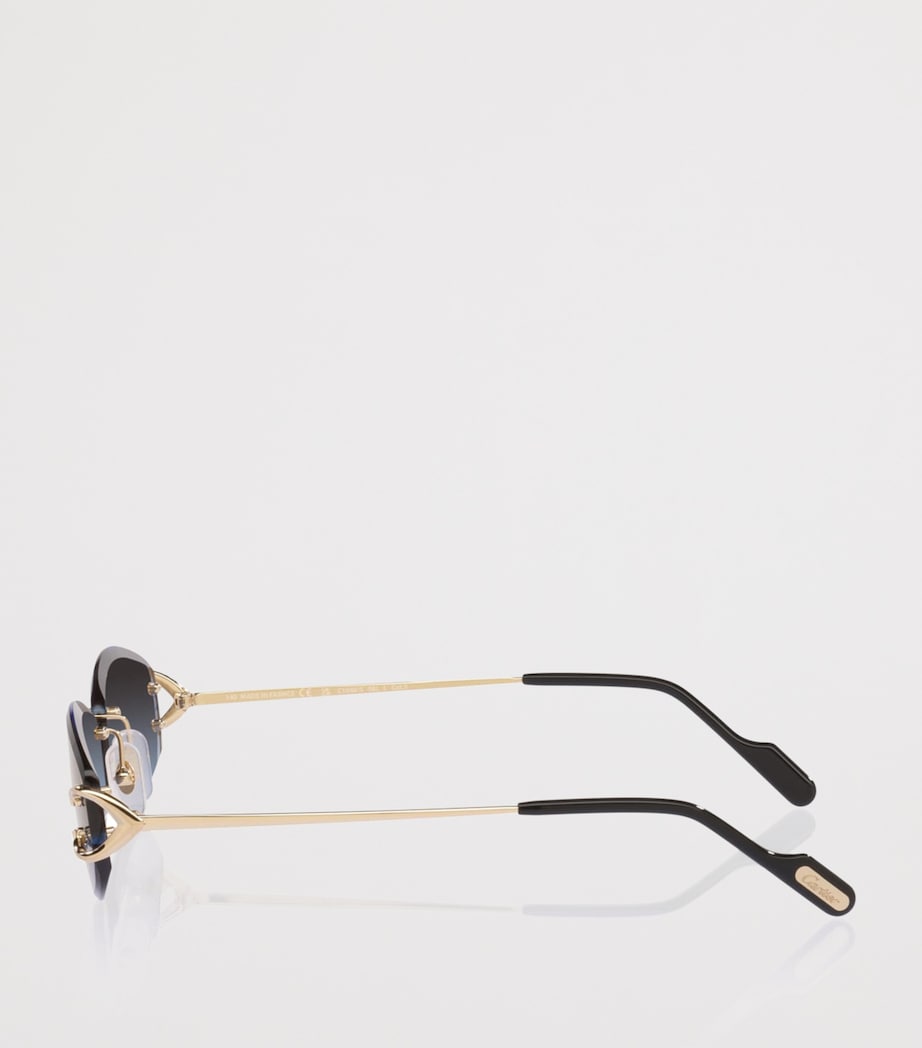 Cartier CT0467S Irregular Sunglasses - Image 3