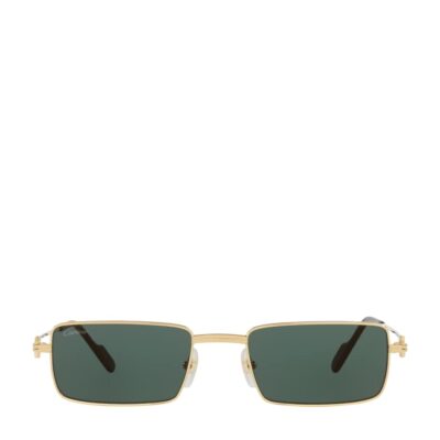 Cartier CT0501S Rectangular Sunglasses - Image 1