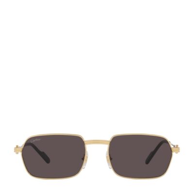 Cartier Pilot Panthère Sunglasses - Image 3