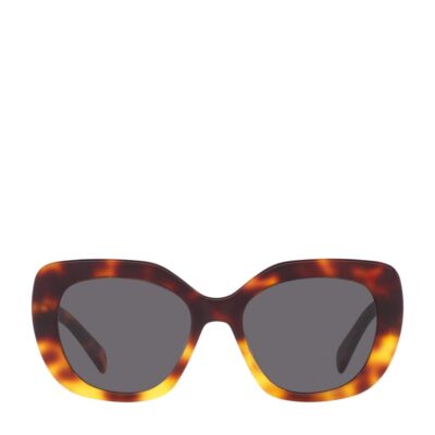 Celine Acetate 0CL000193 Sunglasses - Image 4