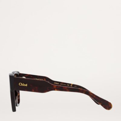Chloé Acetate 06N000477 Sunglasses - Image 3