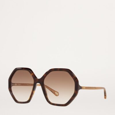 Chloé Acetate Esther Geometric Sunglasses - Image 2