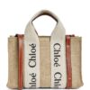 Chloé Mini Woody Tote Bag - Image 1