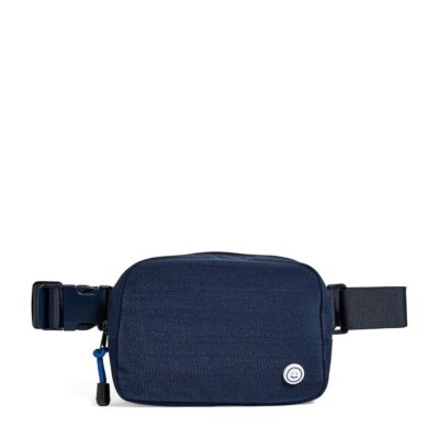 Dolce&Gabbana Calfskin Roma Belt Bag - Image 5