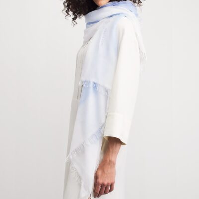Fabiana Filippi Fringed Shawl - Image 3