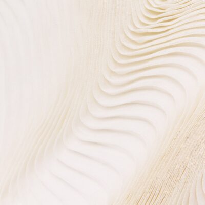 Issey Miyake Feather Pleats Stole - Image 3